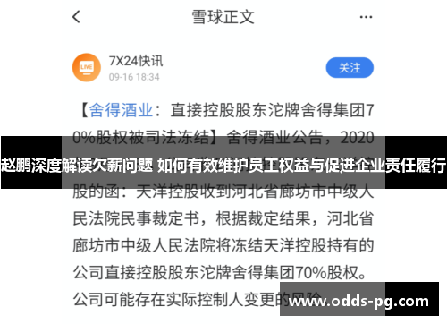 赵鹏深度解读欠薪问题 如何有效维护员工权益与促进企业责任履行